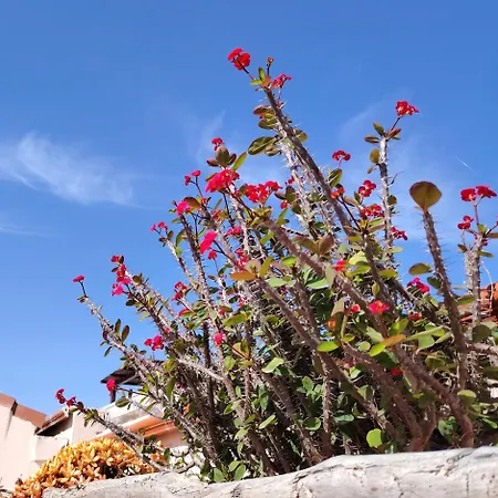 Casa Carla Maria - Da E Nonne Διαμέρισμα *