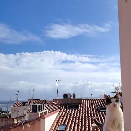 Casa Carla Maria - Da E Nonne Carloforte (Isola di San Pietro)